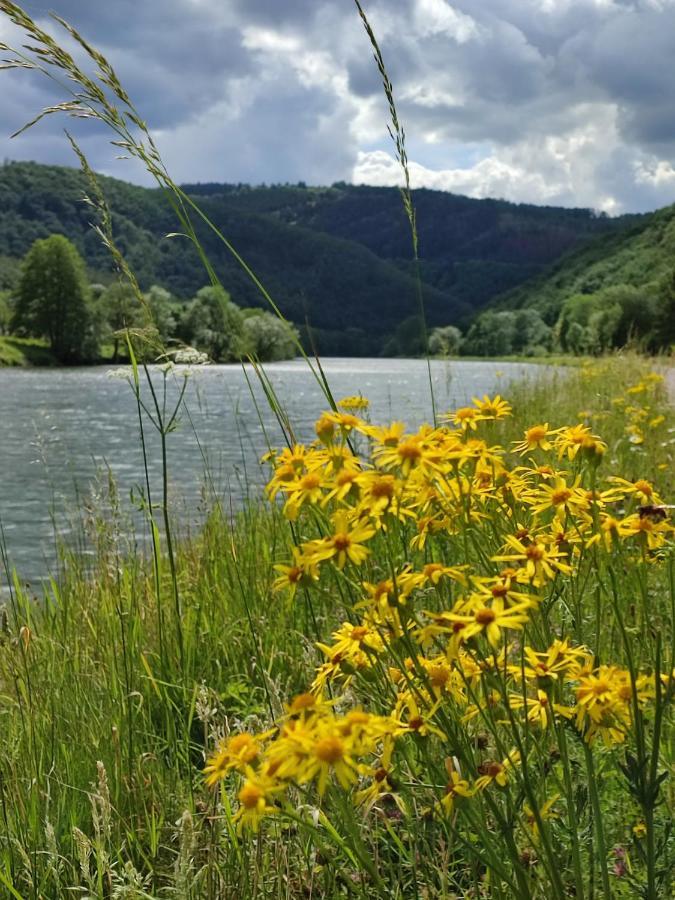 Entre Meuse Et Foret Revin  Exteriér fotografie