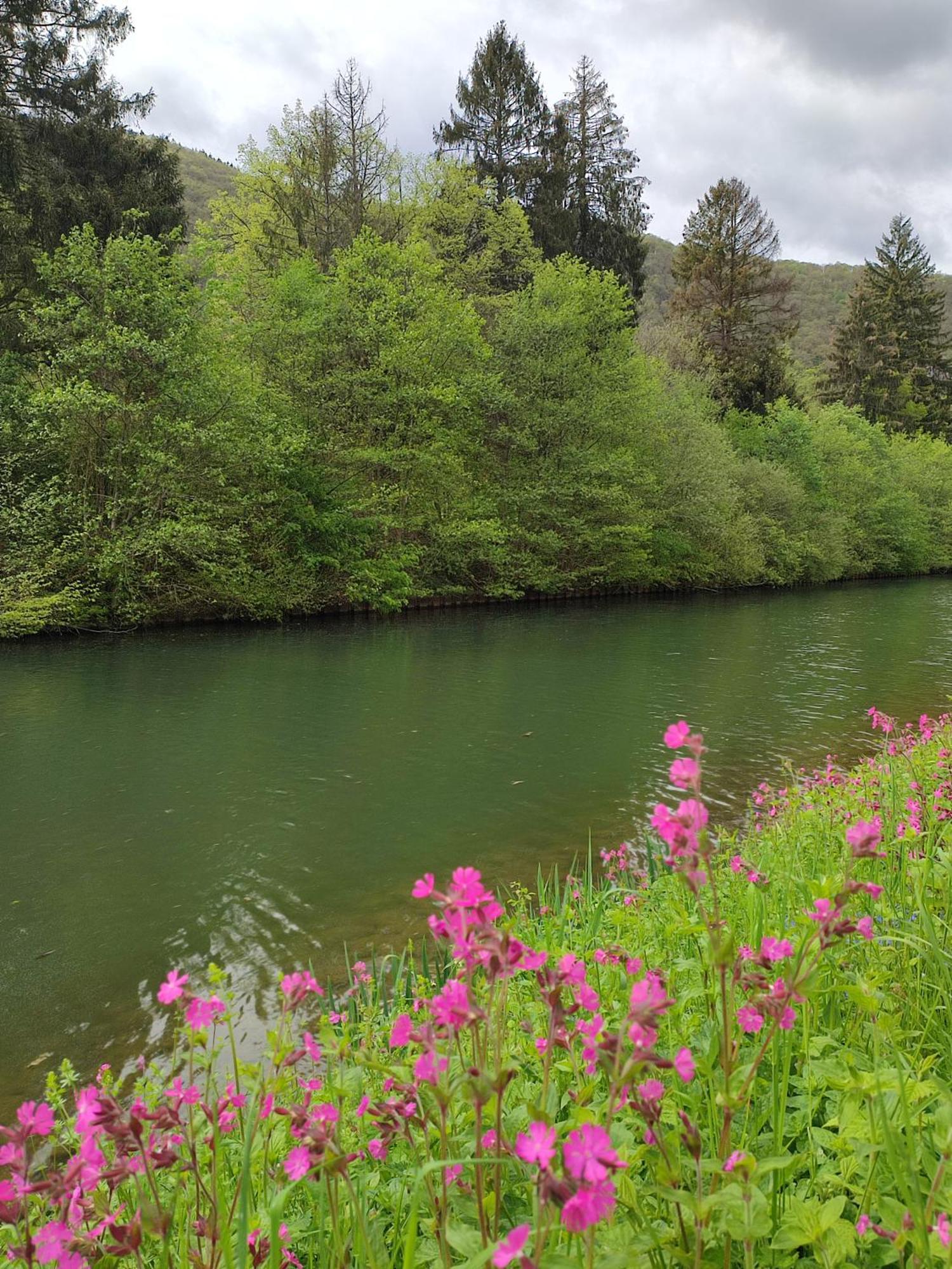 Entre Meuse Et Foret Revin  Exteriér fotografie