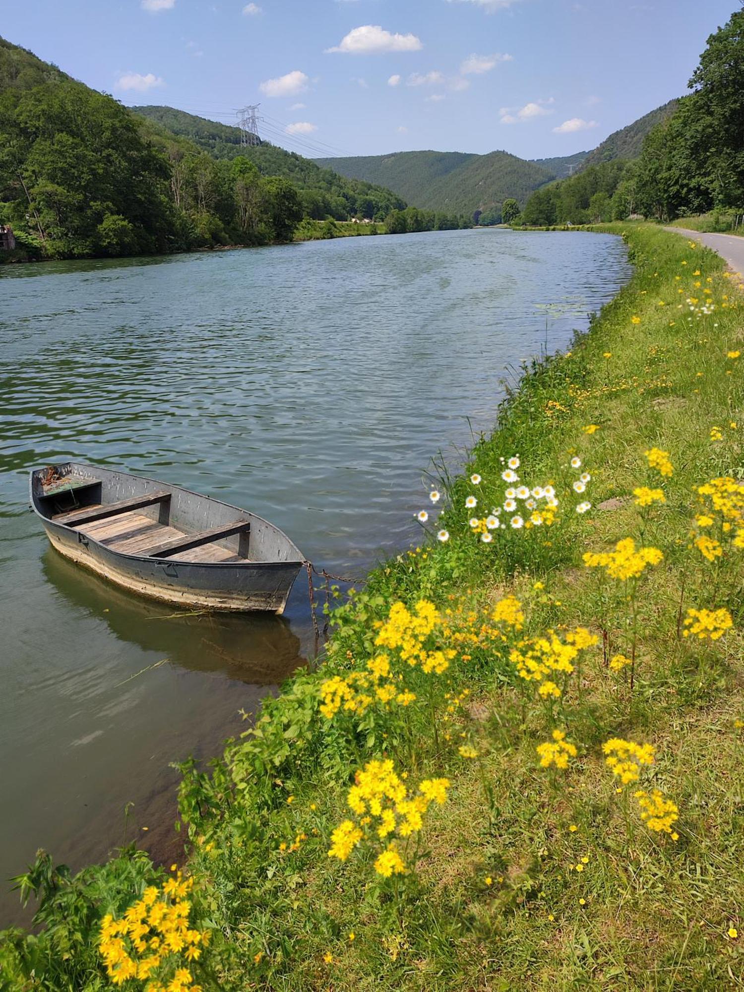 Entre Meuse Et Foret Revin  Exteriér fotografie